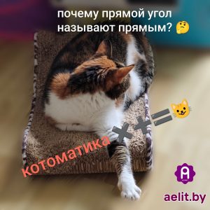 почему прямой угол называют прямым?