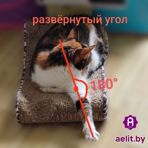 развёрнутый угол в котоматике