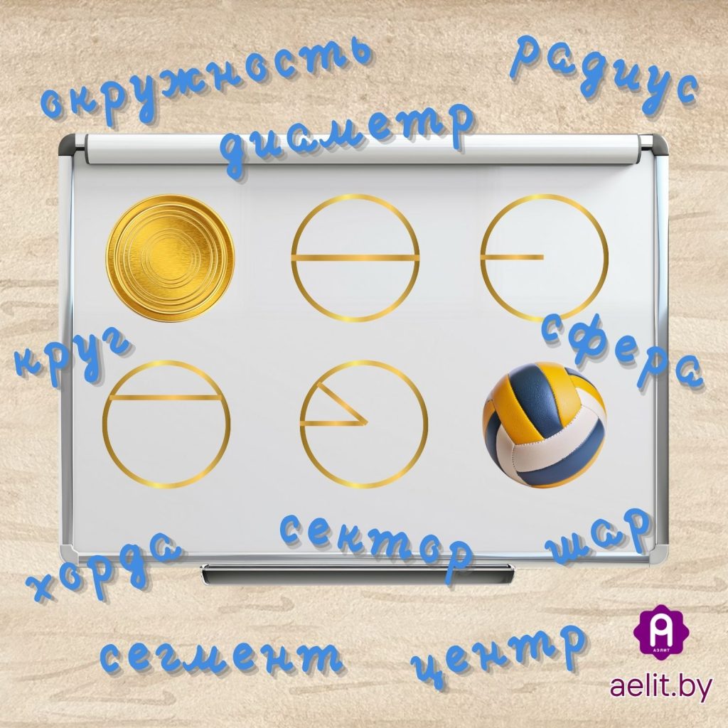 Окружность, круг, хорда, диаметр...